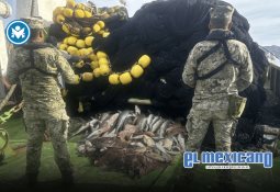 Conoce las Innovaciones Sustentables Más Relevantes en los Festivales en México