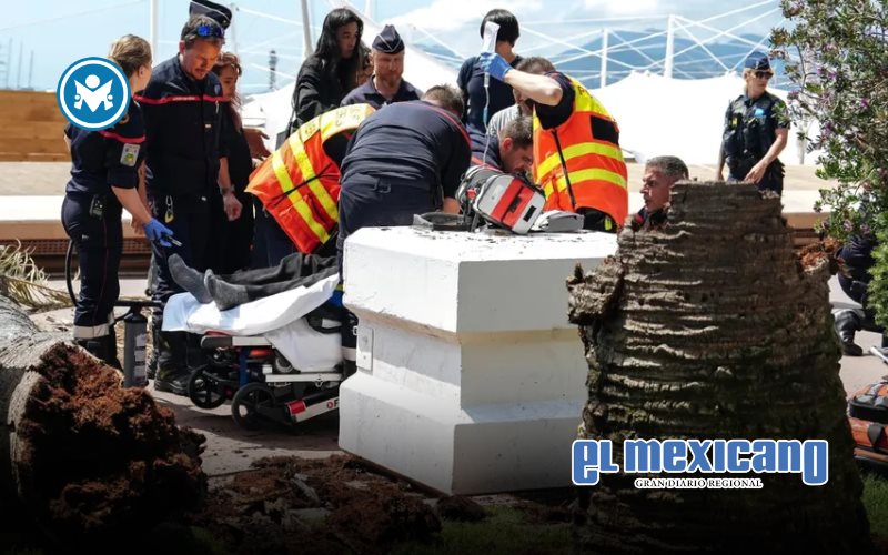 Palmera cae y hiere gravemente a un hombre en pleno Festival de Cannes
