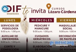 Constitución de BC, reconoce a los animales como seres sintientes, un avance histórico: Gobernadora Marina del Pilar Constitución de BC, reconoce a los animales como seres sintientes, un avance histórico: Gobernadora Marina del Pilar