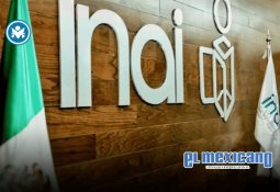 Conoce las Innovaciones Sustentables Más Relevantes en los Festivales en México