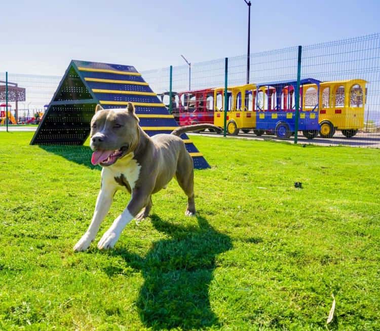 imagen-cuerpo imagen-cuerpo