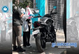 Viajar con tu mascota: 5 destinos que hacen que tu mejor amigo sea protagonista Viajar con tu mascota: 5 destinos que hacen que tu mejor amigo sea protagonista