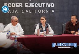 Invitan en Ensenada a recolectar colillas por el Día Mundial Sin Tabaco Invitan en Ensenada a recolectar colillas por el Día Mundial Sin Tabaco