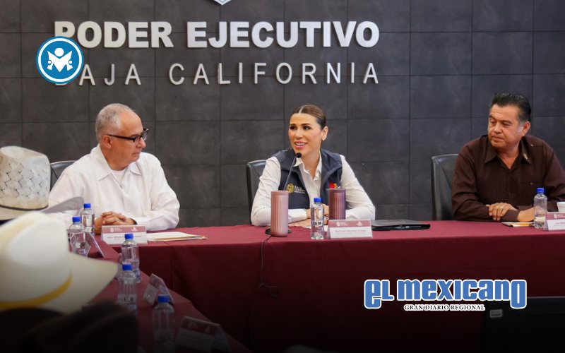Invierte Gobierno Estatal 34 mdp para garantizar precio justo a trigueros Invierte Gobierno Estatal 34 mdp para garantizar precio justo a trigueros