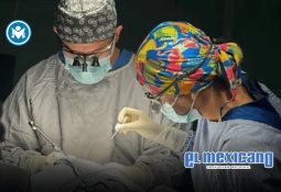 Viajar con tu mascota: 5 destinos que hacen que tu mejor amigo sea protagonista Viajar con tu mascota: 5 destinos que hacen que tu mejor amigo sea protagonista