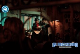 Filmelier+ pone a los cinéfilos al mando del catálogo de streaming Filmelier+ pone a los cinéfilos al mando del catálogo de streaming