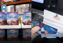 El canguro viajero nunca existió; fue creado con IA