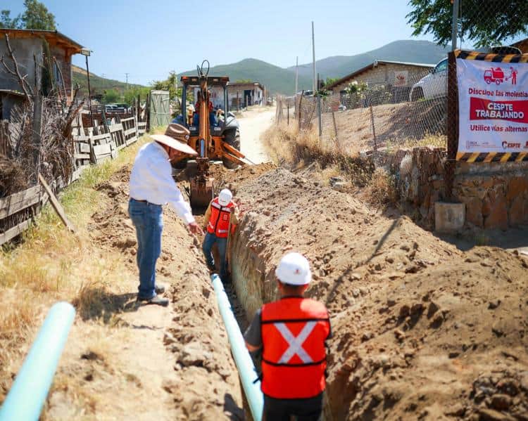 imagen-cuerpo imagen-cuerpo