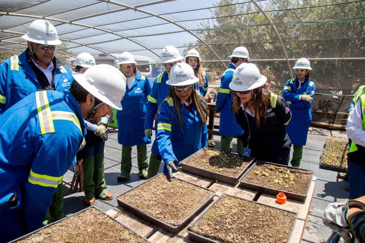 imagen-cuerpo imagen-cuerpo