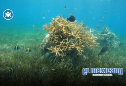 Fallece Sebastião Salgado, el fotógrafo que retrató la dignidad humana y luchó por la naturaleza