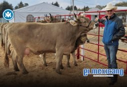 Día del Estudiante: ¿Por qué se celebra el 23 de mayo? Día del Estudiante: ¿Por qué se celebra el 23 de mayo?