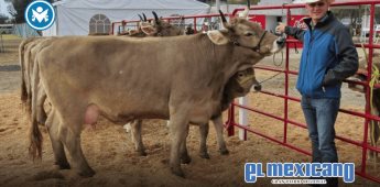 Gusano barrenador amenaza con disparar el precio de la carne en México Gusano barrenador amenaza con disparar el precio de la carne en México
