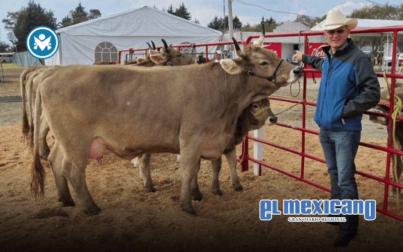 Gusano barrenador amenaza con disparar el precio de la carne en México