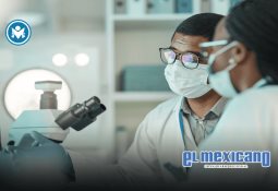 Atropellan a personas durante desfile en Liverpool Atropellan a personas durante desfile en Liverpool