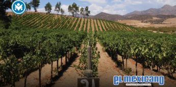Recibirá el Foro internacional Agroindustria total respaldo de las delegaciones de Canacintra en BC