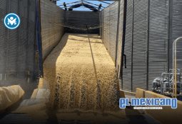 Beneficios estratégicos de la externalización de procesos en la industria automotriz en el contexto arancelario