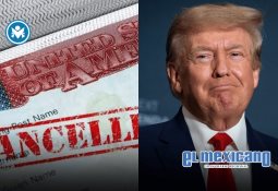 Al menos un muerto y 48 heridos por disparos durante reparto de comida en Gaza Al menos un muerto y 48 heridos por disparos durante reparto de comida en Gaza