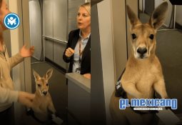 Influencer de 19 años muere tras ataque de pánico en parasailing en Montenegro