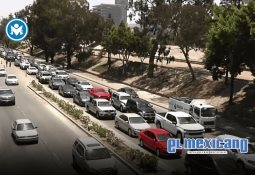 Leche Jersey emite comunicado tras reportes de crisis financiera Leche Jersey emite comunicado tras reportes de crisis financiera