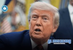 Elon Musk se despide de su cargo en la Casa Blanca, pero seguirá asesorando a Trump Elon Musk se despide de su cargo en la Casa Blanca, pero seguirá asesorando a Trump