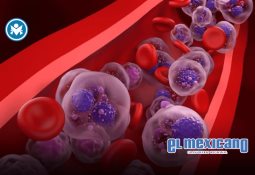 ABB adquiere BrightLoop, ampliando su negocio de electrificación de vehículos industriales ABB adquiere BrightLoop, ampliando su negocio de electrificación de vehículos industriales