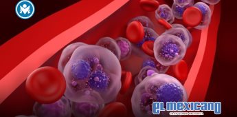Cómo la innovación acelera el camino hacia una posible cura funcional del mieloma múltiple Cómo la innovación acelera el camino hacia una posible cura funcional del mieloma múltiple