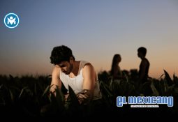 Fifth Harmony planea regreso en 2026 Fifth Harmony planea regreso en 2026