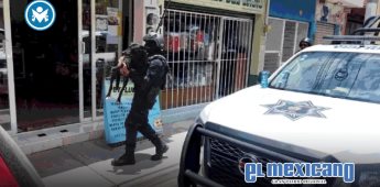 Perrita es atacada con machete mientras cuidaba a sus crías en Celaya Perrita es atacada con machete mientras cuidaba a sus crías en Celaya