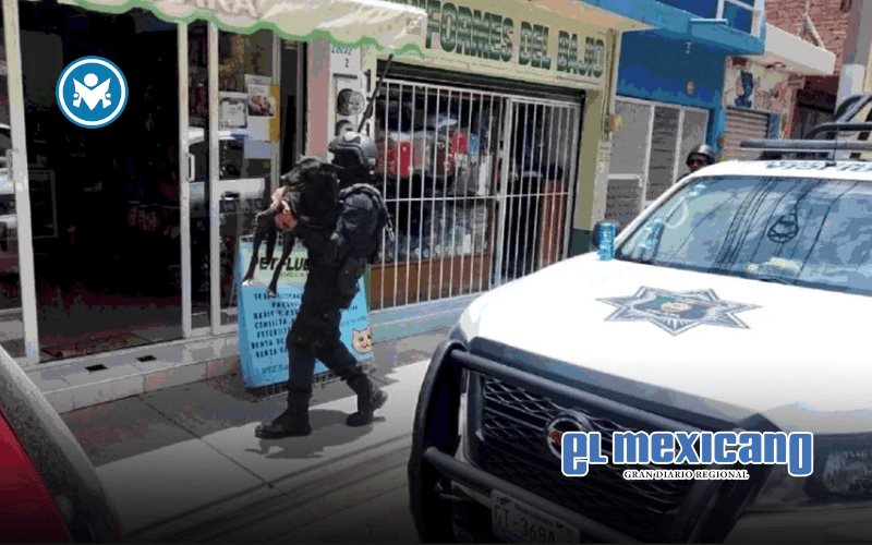 Perrita es atacada con machete mientras cuidaba a sus crías en Celaya Perrita es atacada con machete mientras cuidaba a sus crías en Celaya