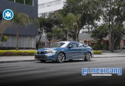 Elon Musk se despide de su cargo en la Casa Blanca, pero seguirá asesorando a Trump Elon Musk se despide de su cargo en la Casa Blanca, pero seguirá asesorando a Trump