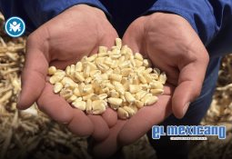 De ´nenis´ a microempresarias: el sistema financiero debe moverse hacia ellas De ´nenis´ a microempresarias: el sistema financiero debe moverse hacia ellas