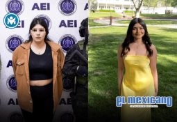 Histórico operativo en Tijuana contra tala ilegal de árboles centenarios