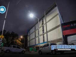 Histórico operativo en Tijuana contra tala ilegal de árboles centenarios