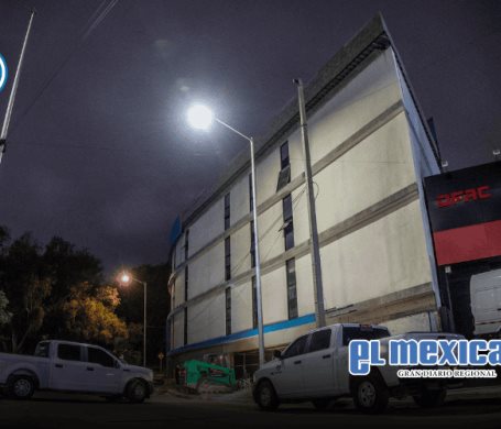 Histórico operativo en Tijuana contra tala ilegal de árboles centenarios