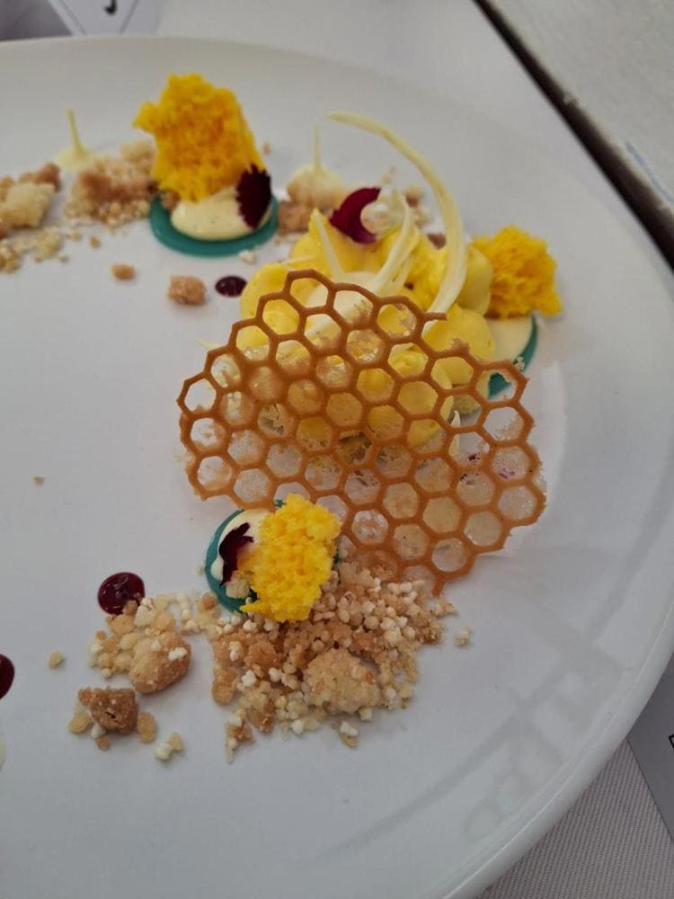 imagen-cuerpo imagen-cuerpo