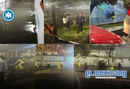 Guía Visual de las Manzanas: el sabor del rojo, verde o amarillo