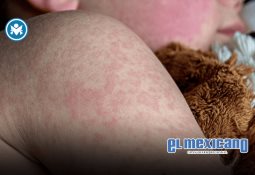 General Román Carmona Landa asume el mando de la Fuerza Aérea Mexicana