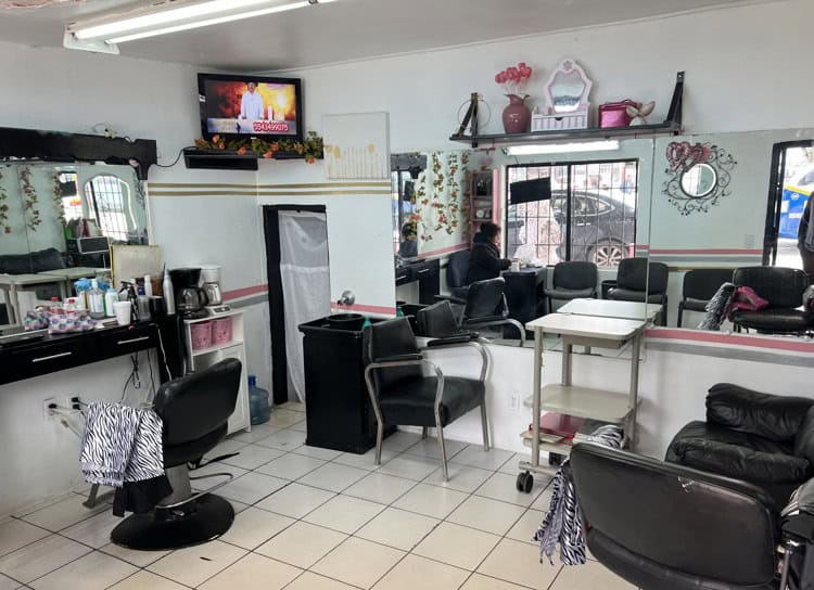 imagen-cuerpo imagen-cuerpo