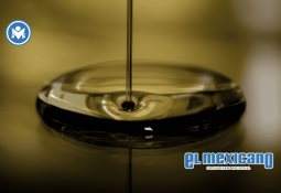 ¿Quién era Zaur Gurtsiev, el veterano ruso que murió en una misteriosa explosión en Stavropol? ¿Quién era Zaur Gurtsiev, el veterano ruso que murió en una misteriosa explosión en Stavropol?