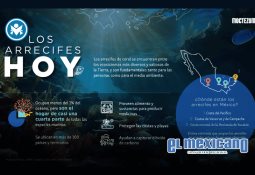 En el Día Mundial del Medio Ambiente, Sheinbaum pone en marcha Estrategia Nacional de Limpieza en 12 mil km de playas y costas del país