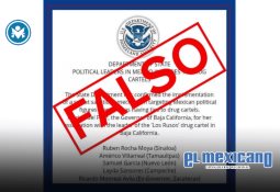 Semaglutida 2.4 mg protege el corazón desde las primeras etapas del tratamiento