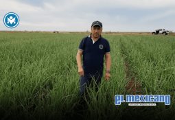 Ejecutan a ex candidato de Morena de San Pablo del Monte, Tlaxcala