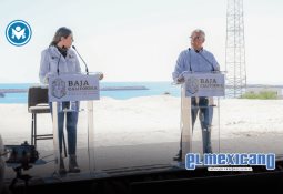 Llama la regidora Gina Arana a armonizar leyes de movilidad en el estado