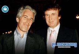 Donald Trump afirma que Elon Musk "perdió la cabeza"