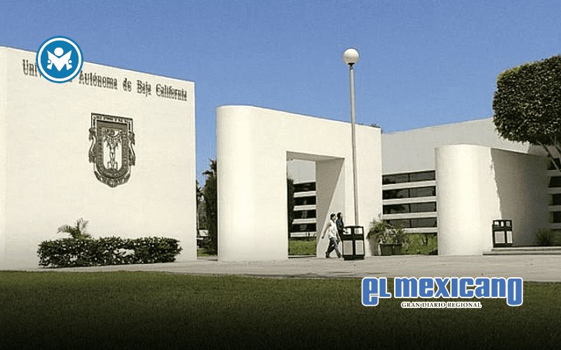 Este 4 de julio se publicarán los resultados del examen de admisión de UABC Este 4 de julio se publicarán los resultados del examen de admisión de UABC