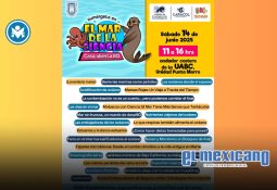 Día Mundial del Cáncer de Próstata; aumentan los casos en un 57% en BC Día Mundial del Cáncer de Próstata; aumentan los casos en un 57% en BC