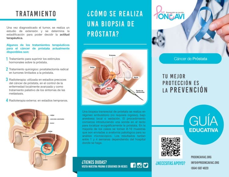 imagen-cuerpo imagen-cuerpo