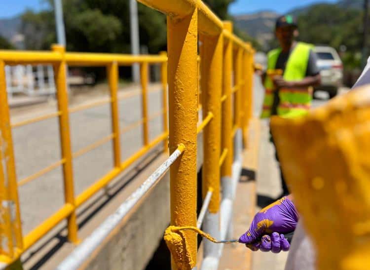 imagen-cuerpo imagen-cuerpo