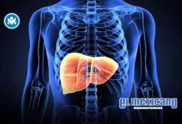 Ricardo Salinas Pliego critica cierre de planta Michelin