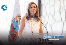 Lanzan programa "Proveeduría Morada" para integrar a mujeres a la industria Lanzan programa "Proveeduría Morada" para integrar a mujeres a la industria
